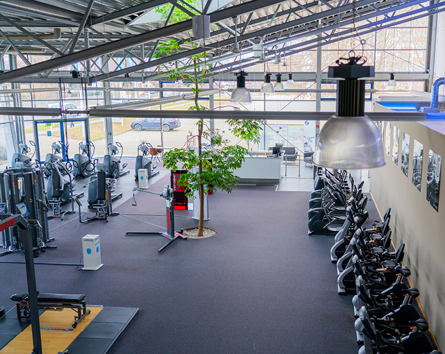 Fitnessfuhrerschein Fitness Gesundheitspark